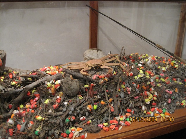 [IMG_12572.jpg]