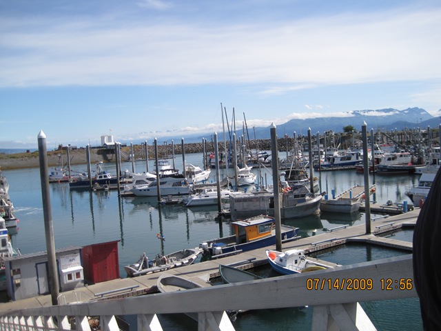 [IMG_12762.jpg]