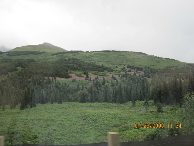 [IMG_14372.jpg]