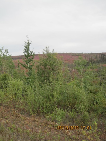 [IMG_17772.jpg]
