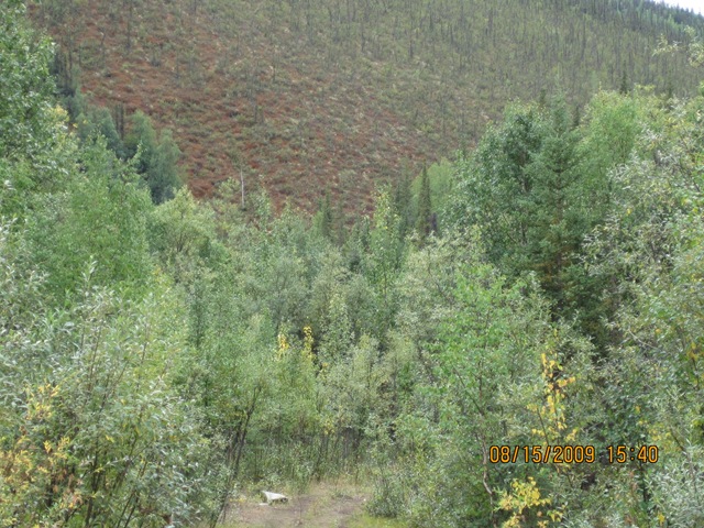 [IMG_18092.jpg]