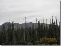 IMG_1854