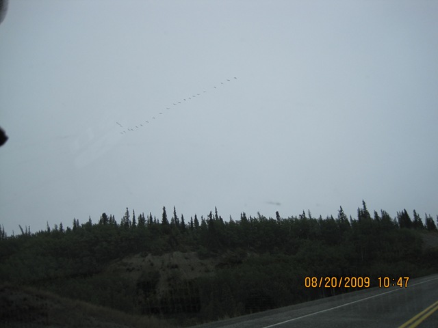 [IMG_18655.jpg]