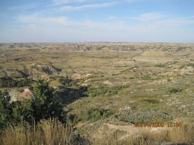 [IMG_20752.jpg]