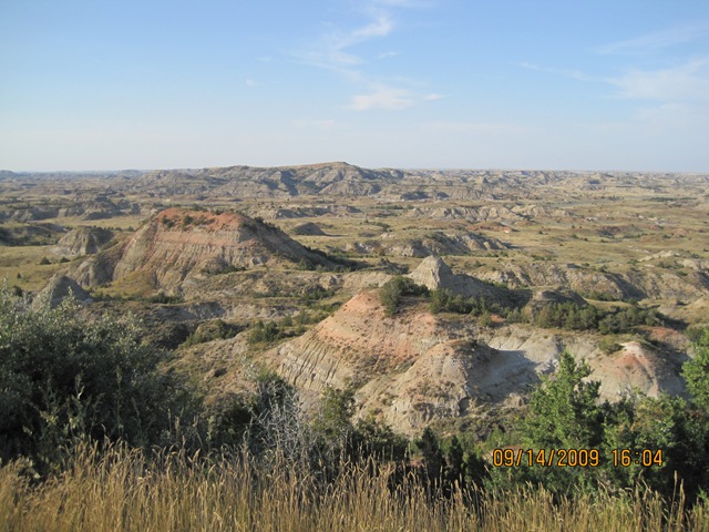 [IMG_20762.jpg]