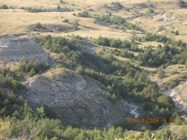 [IMG_20792.jpg]