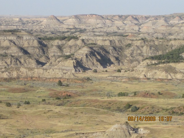 [IMG_20822.jpg]