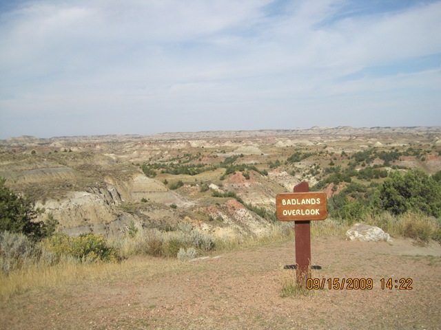 [IMG_21142.jpg]