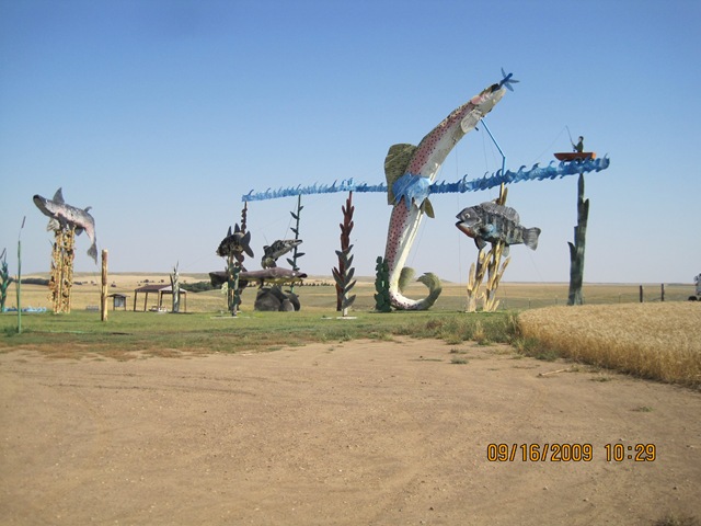 [IMG_21492.jpg]