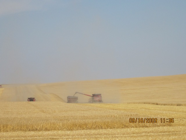 [IMG_21712.jpg]