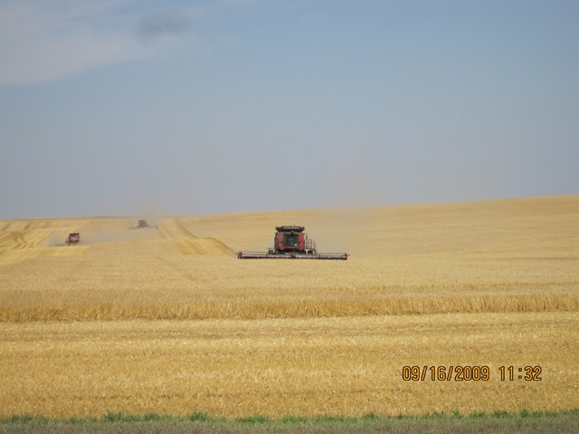 [IMG_21622.jpg]