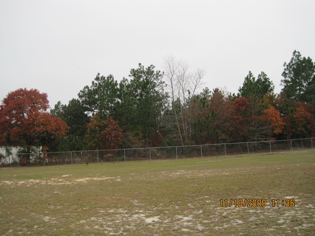 [IMG_24562.jpg]