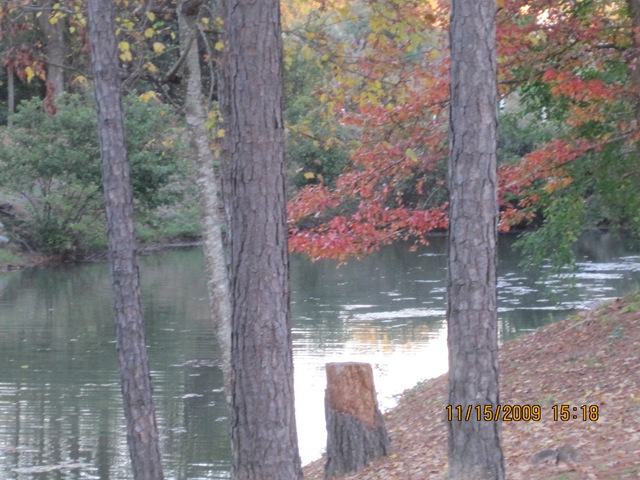 [IMG_24472.jpg]