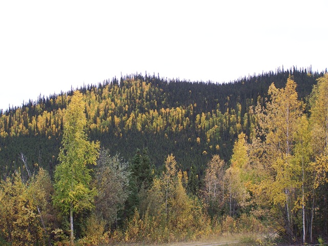 [100_05202.jpg]