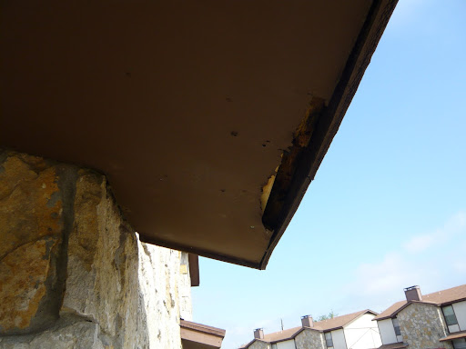 eave