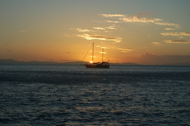 [DSC_29672.jpg]