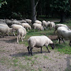 4720911725.jpg