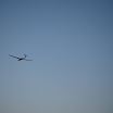 DSC_0142.JPG