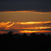DSC_0136.JPG