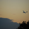 DSC_0146.JPG