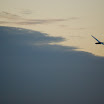 DSC_0147.JPG