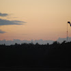 DSC_0231.JPG