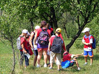 DSCF6229.jpg