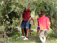 DSCF6019.jpg