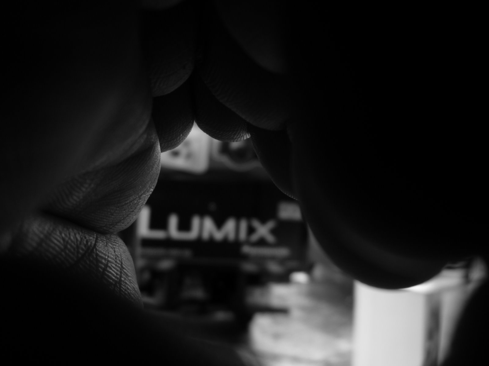 [P1100351.JPG]