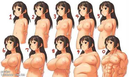 Ten Types of Tits Posted by MitchSalm at 956 PM