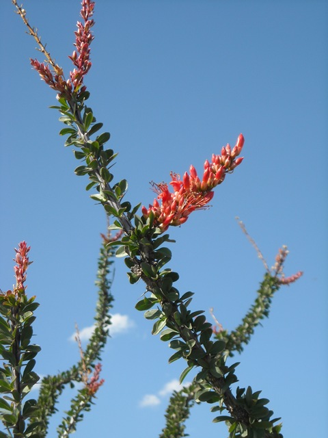 [DSCN11003.jpg]