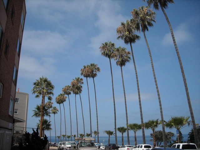 [DSCN06822.jpg]