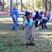 Colonial Days Field Trip (33).JPG