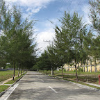 Tree lined sidewalks The AboitizLand Community Tour