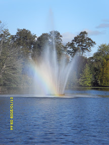 Vic Park 1.jpg Vic Park 1.jpg