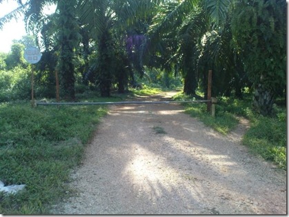 1st Offroad