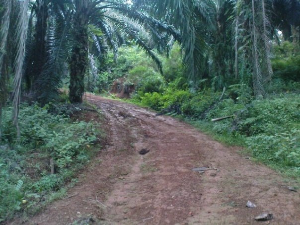 [Offroad33.jpg]
