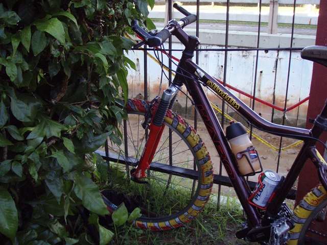 [PC200343[2].jpg]