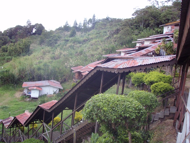 [PA2304022.jpg]