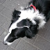 DSC03931.jpg
