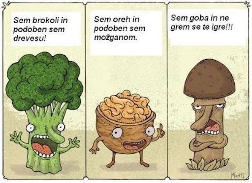 ssm