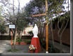 Foto-0019