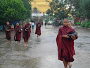 SDC10065.JPG