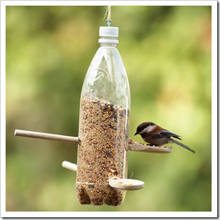 backyard-bird-feeder-spring-craft-photo-420-FF0507EFDA01