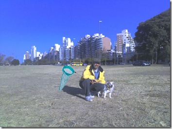 caza murcielagos