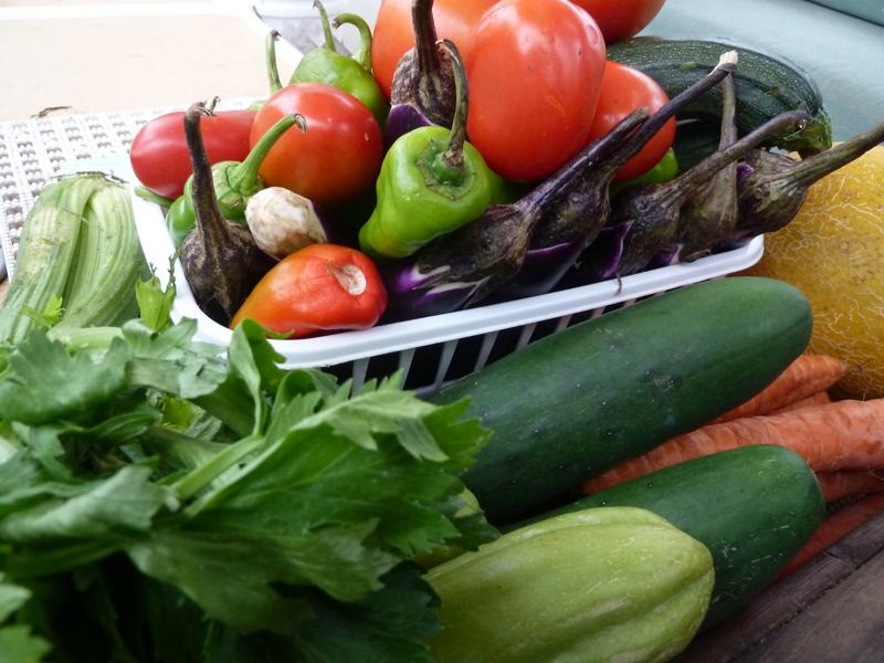 [veggies from the boat[7].jpg]