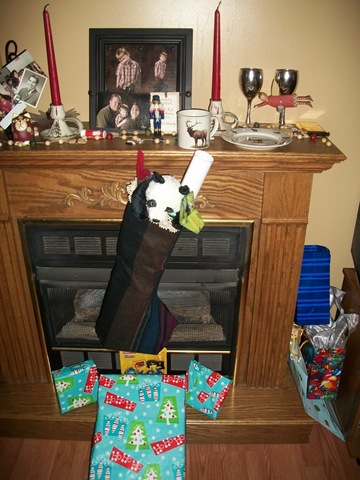 [Christmas 2010 027[2].jpg]