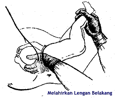 [clip_image002[16][2].gif]
