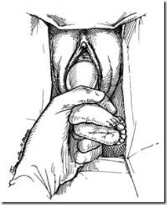 clip_image002[21]