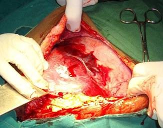 [clip_image004[5].jpg]